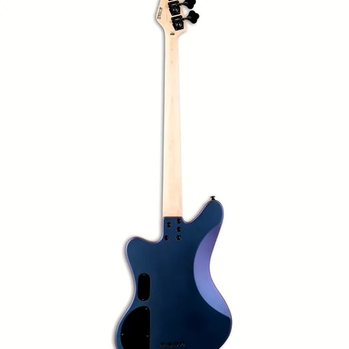 Test, Avis : ESP LTD GB-4