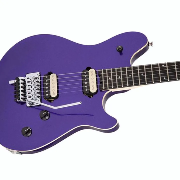 Test, Avis Evh Wolfgang Special DPM