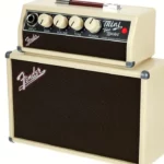 Test, Avis Fender Mini-Tonemaster