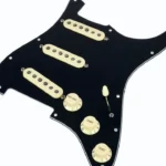 Test & Avis : Fender Pre-Wired ST Pickguard 69 BK