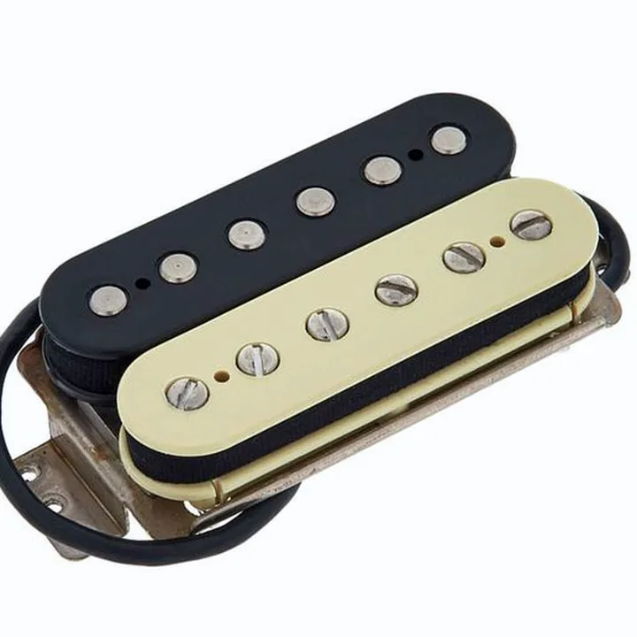 Test, Avis : Fender Shawbucker 1 Pickup Zebra