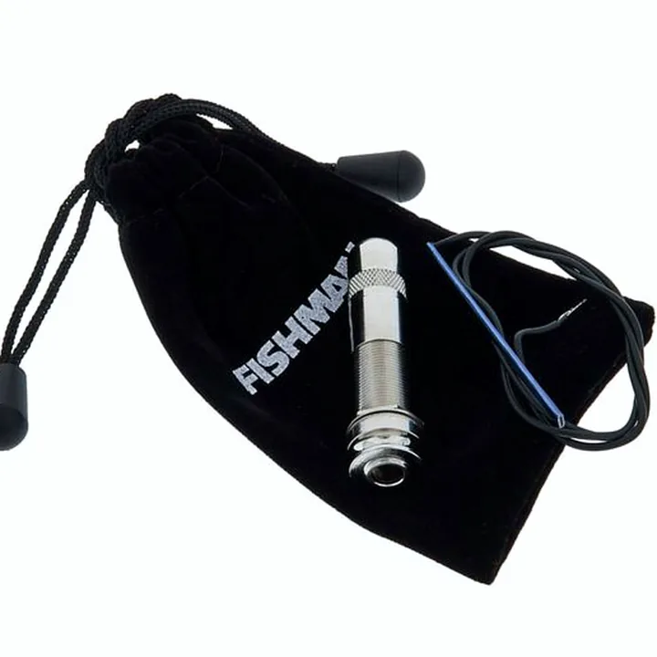 Test & Avis : Fishman AG-125