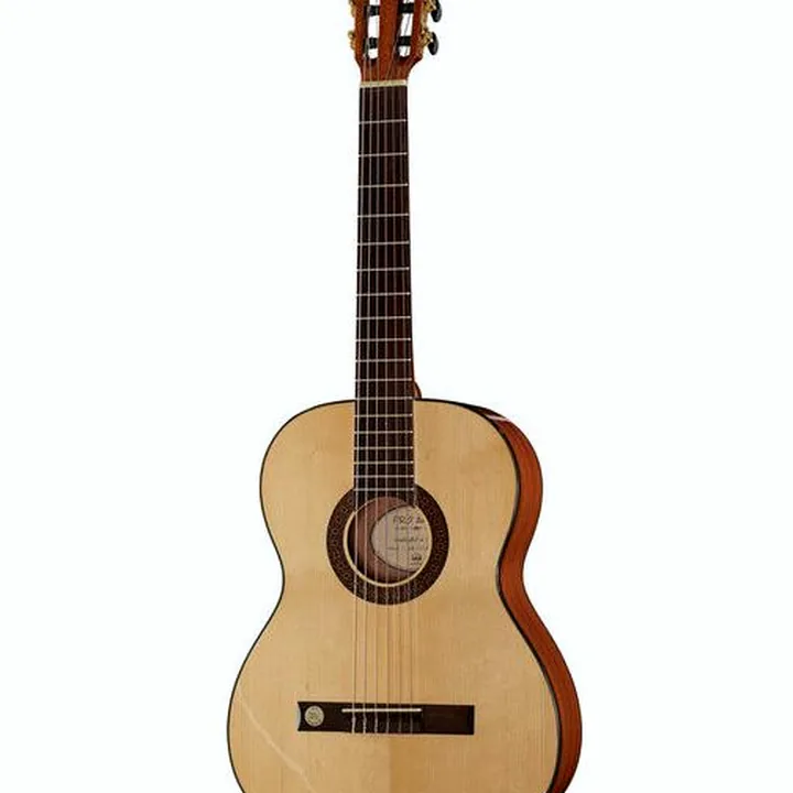 Gewa Pro Arte GC100A