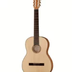 Test & Avis Gewa Pro Natura Gold 4/4 Cherry
