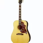 Test & Avis : Gibson Hummingbird Original AN