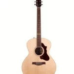 Test & Avis : Godin Forum Natural RN GT EQ