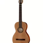 Test & Avis : Godin Motif Classic