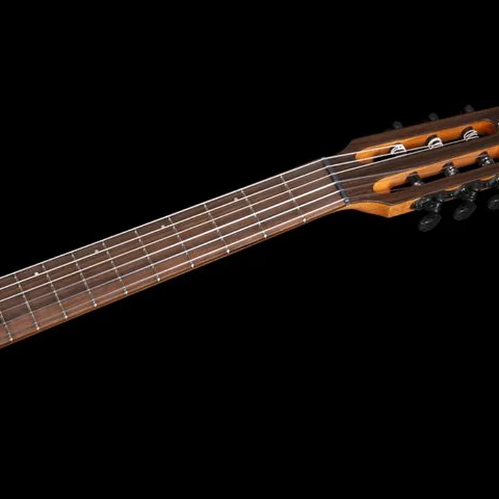 Test, Avis : Godin Multiac Mundial Onyx Black
