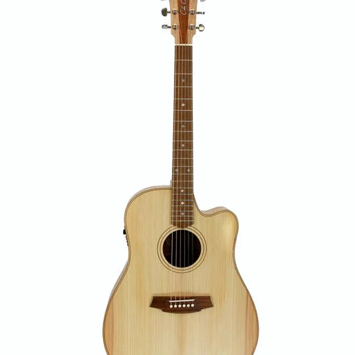 Guitare Acoustique Cole Clark FL2EC-BSO Fat Lady