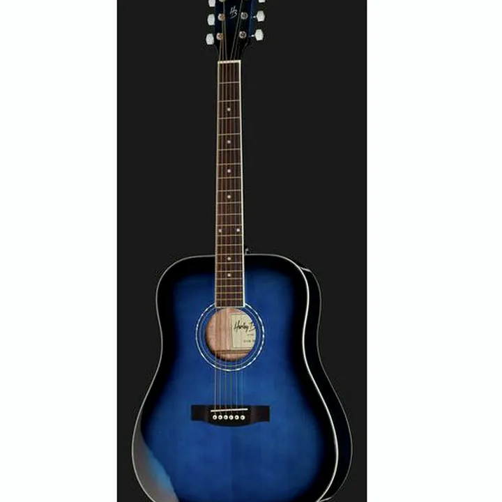 Test, Avis Guitare acoustique Harley Benton D-120TB