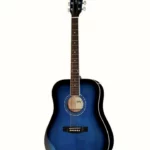Test, Avis Guitare acoustique Harley Benton D-120TB
