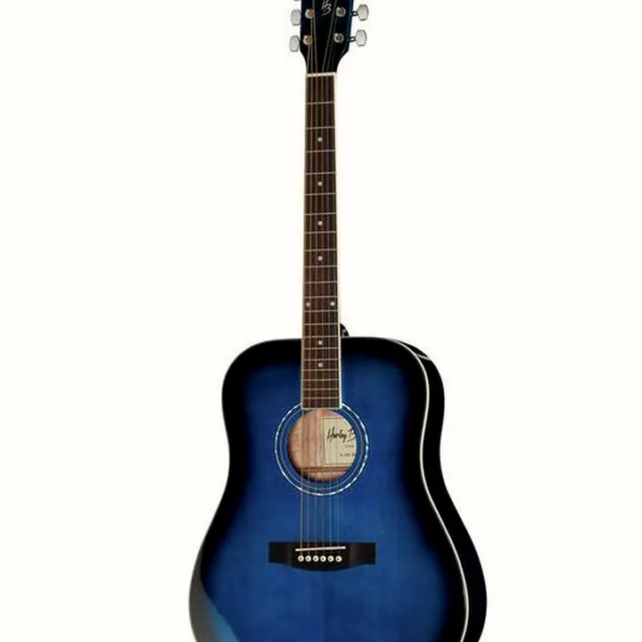 Test, Avis Guitare acoustique Harley Benton D-120TB