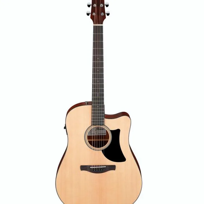 Guitare Acoustique Ibanez AAD50CE-LG