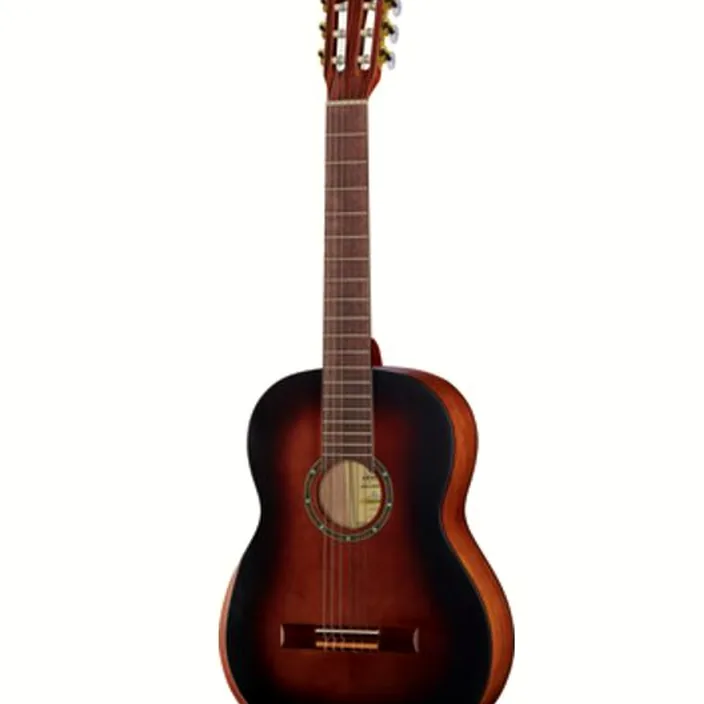 Guitare Classique Ortega R55DLX-BFT