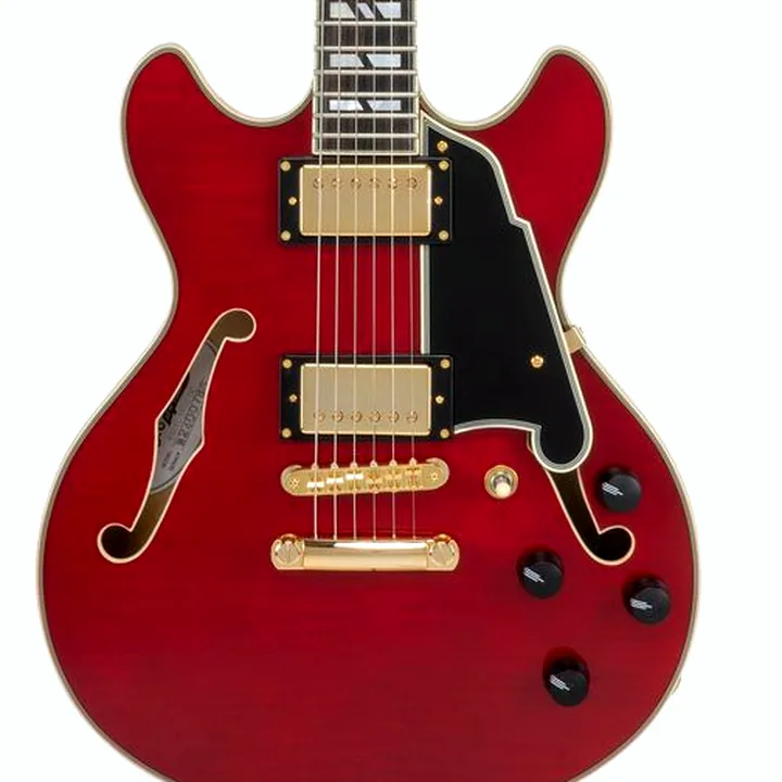 Test & Avis Guitare DAngelico Excel Mini DC Trans Cherry 25