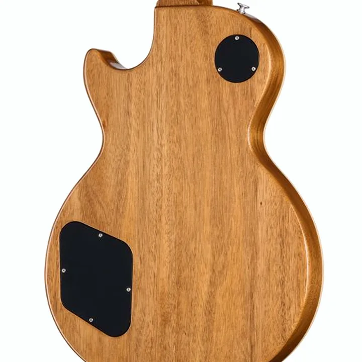 Test & Avis Guitare Gibson Les Paul Standard 60s DT VTB