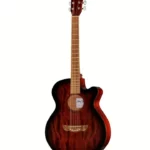 Test & Avis Guitare Harley Benton Delta Blues MJCE Ovangkol