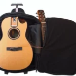 Test, Avis Guitare Journey Instruments Cedar Zircot Parlor Travel LTD