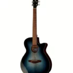 Test, Avis Guitarefolk Ibanez AEG50-IBH