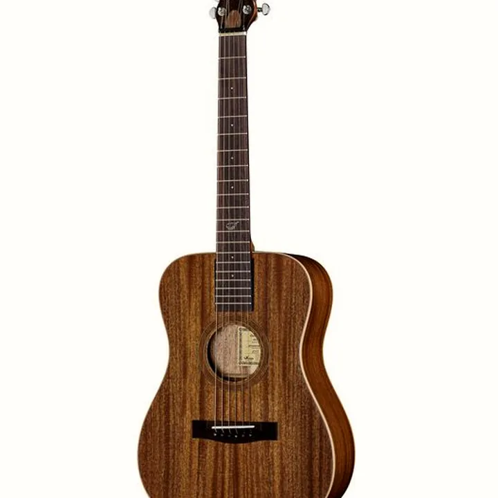 Guitarefolk Journey Instruments OF312
