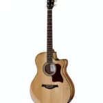 Test & Avis : Harley Benton Baritone CLG-414BCE NT