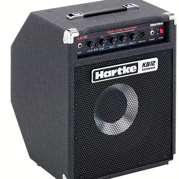 Test & Avis Hartke Kickback 12