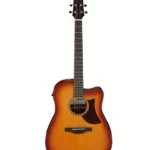 Test, Avis : Ibanez AAD50CE-LBS