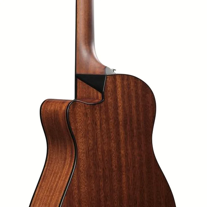 Test, Avis : Ibanez AAM300CE-NT