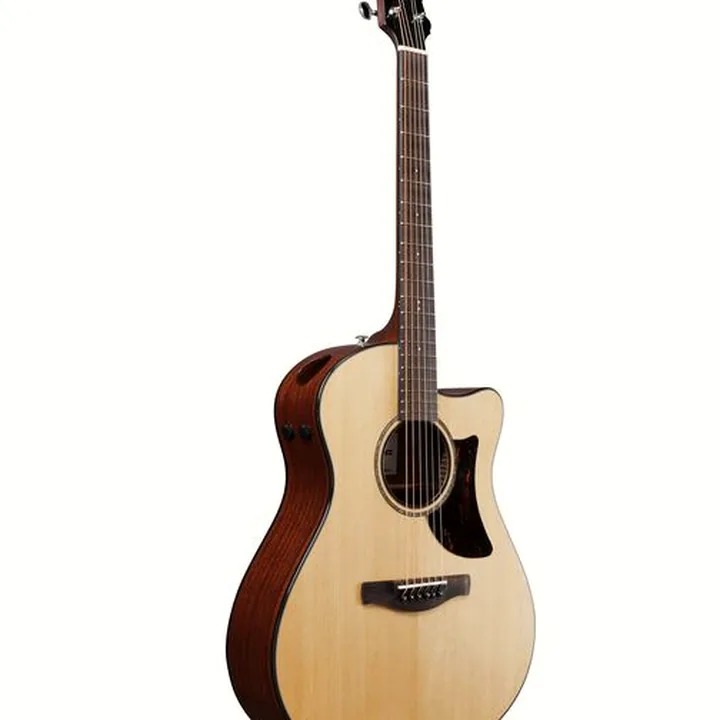 Test, Avis : Ibanez AAM300CE-NT