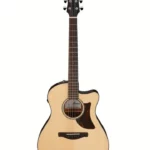 Test, Avis : Ibanez AAM300CE-NT