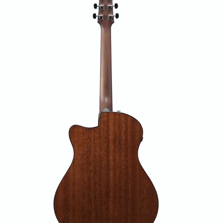 Test, Avis : Ibanez AAM300CE-NT
