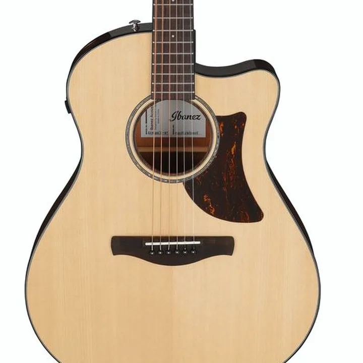 Test, Avis : Ibanez AAM300CE-NT