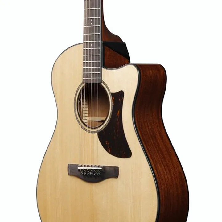 Test, Avis : Ibanez AAM300CE-NT