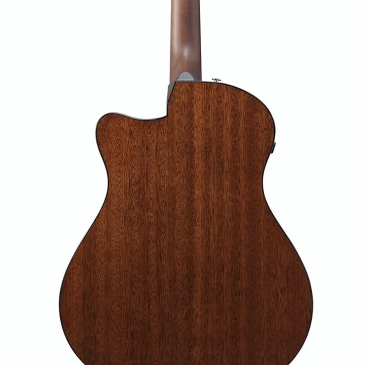 Test, Avis : Ibanez AAM300CE-NT