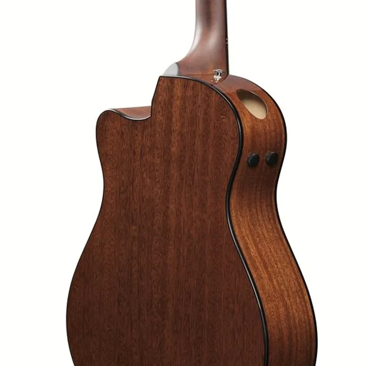 Test, Avis : Ibanez AAM300CE-NT