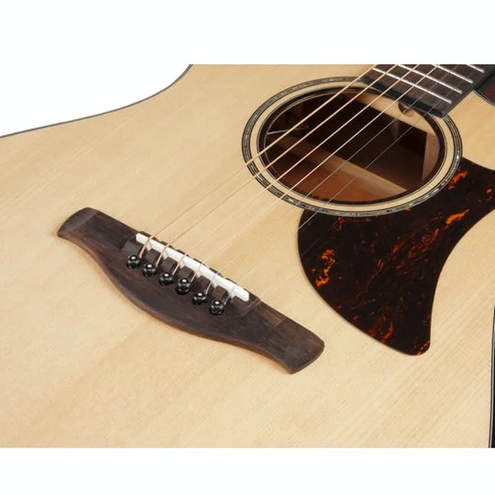 Test, Avis : Ibanez AAM300CE-NT