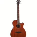 Test & Avis : Ibanez AEG220-LGS