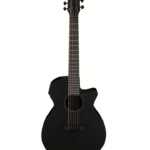 Test & Avis : Ibanez AEG721-BOT