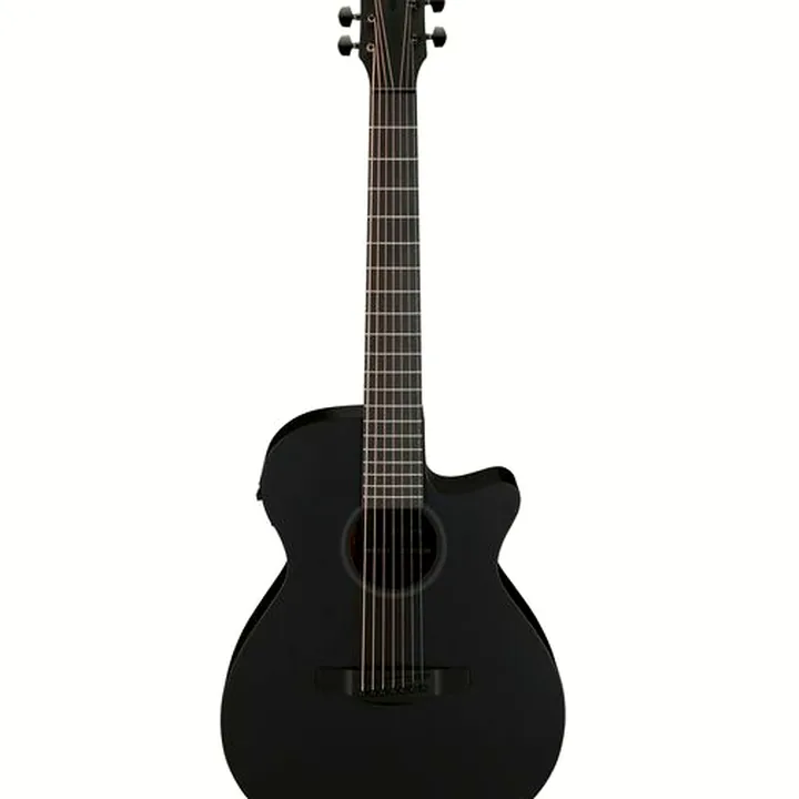 Test & Avis : Ibanez AEG721-BOT