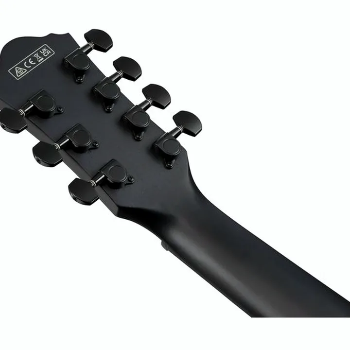 Test & Avis : Ibanez AEG721-BOT