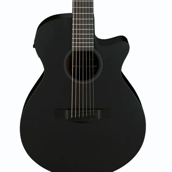 Test & Avis : Ibanez AEG721-BOT