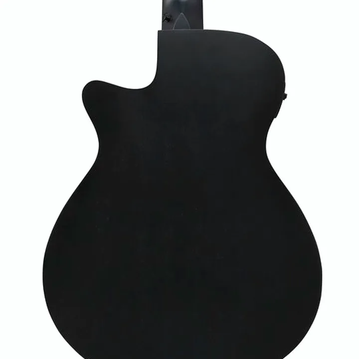 Test & Avis : Ibanez AEG721-BOT