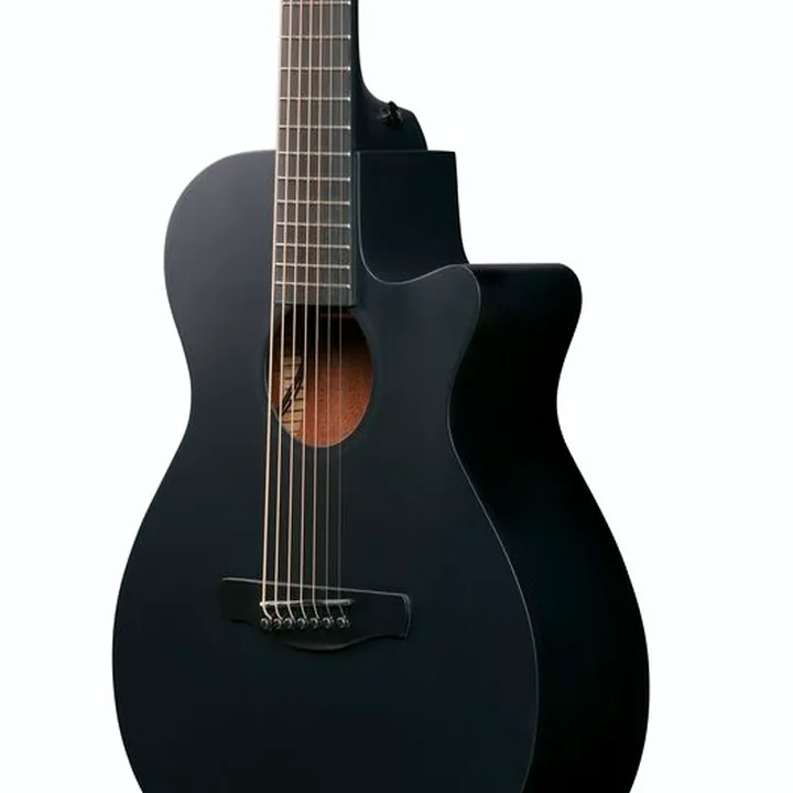 Test & Avis : Ibanez AEG721-BOT