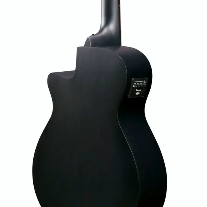 Test & Avis : Ibanez AEG721-BOT
