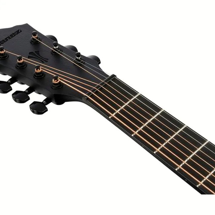 Test & Avis : Ibanez AEG721-BOT