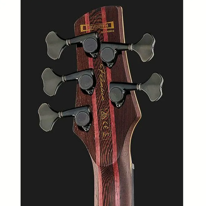 Test, Avis : Ibanez SR1305SB-MGL