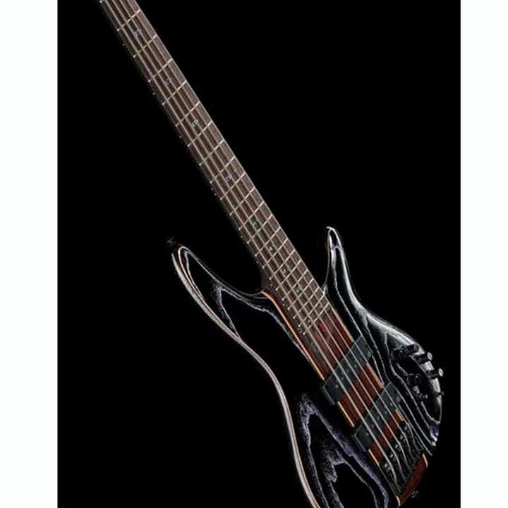 Test, Avis : Ibanez SR1305SB-MGL