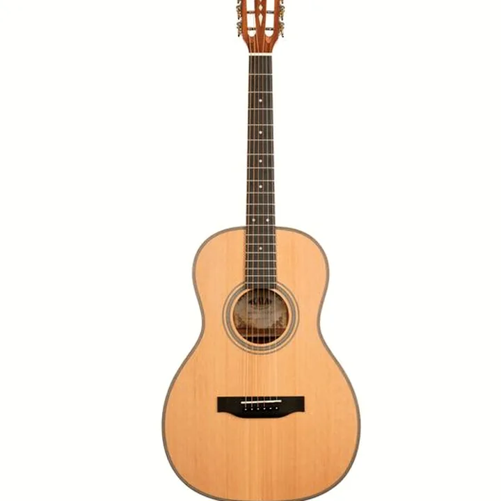 Test, Avis Kala Solid Cedar Top Parlor Guitar