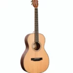 Test, Avis Kala Solid Cedar Top Parlor Guitar