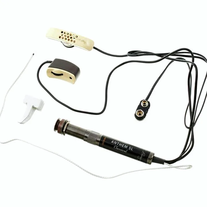 Test & Avis : L.R.Baggs Anthem Classical